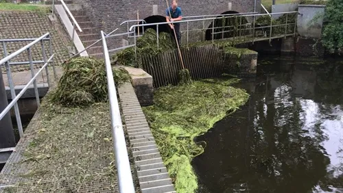 drijfvuil bij gemaal