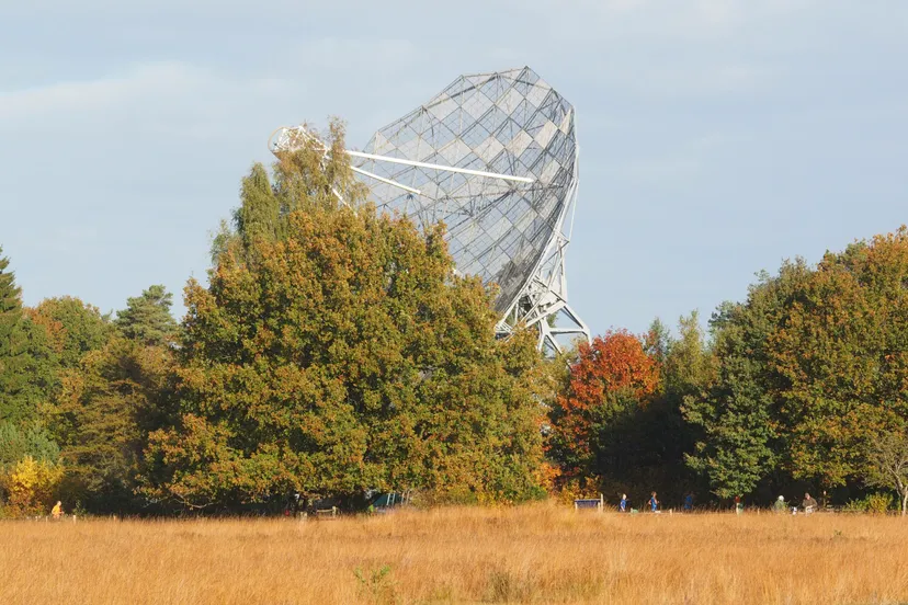 dwingelderveldloop scaled