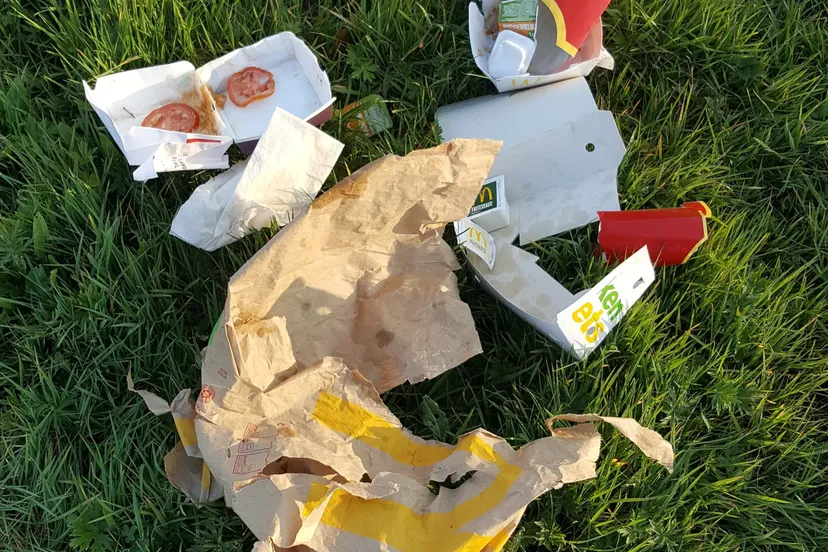 fastfoodvervuiler1