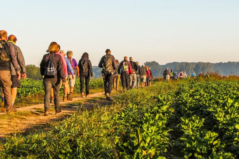 hunzeloop 2019 b pol
