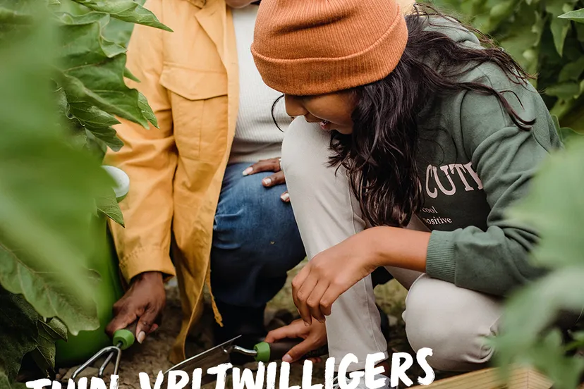 meppel vrijwilligers tiptop tuinweekend meppelvoorelkaar