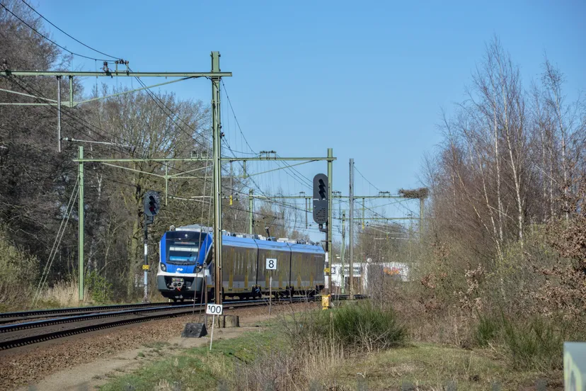 nest ooievaars meppel2 fotopersbureau steenwyck