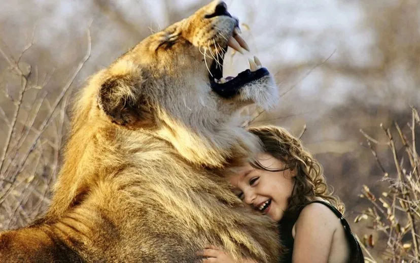 pixabay leeuw knuffelen