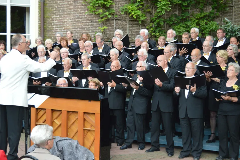 pn juni 2014 bert lammers wijker kunst scaled