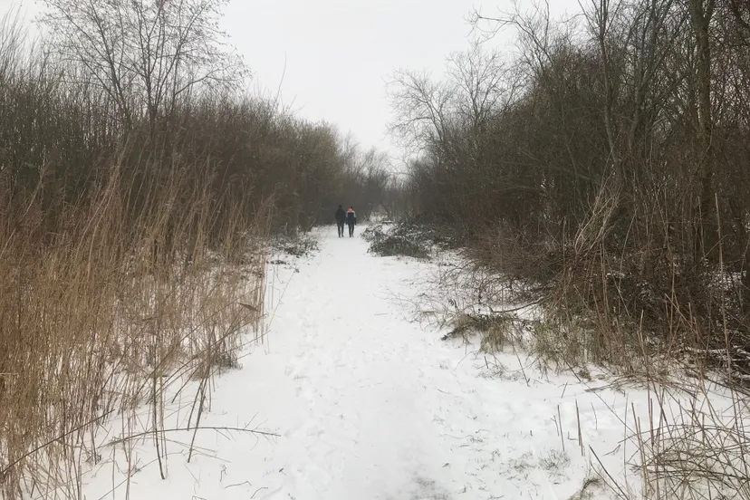 pn07022021 winter meppel1