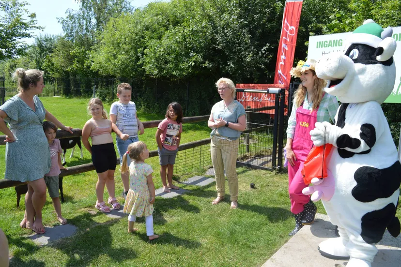 pn09072021 ruinerwold drentse koe maisdoolhof2