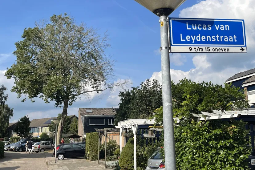 pn18092021 boom lucas van leydenstraat1