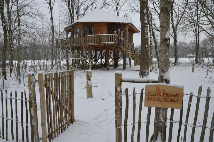 pn23012018 boomhut sneeuw echten1