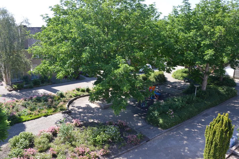 pn23062020 pleintje pieter lastmanstraat