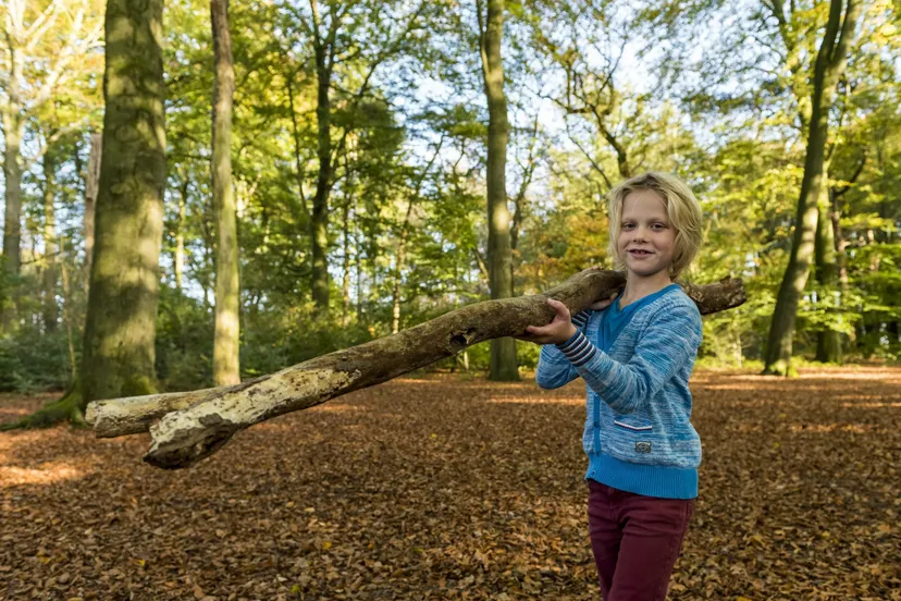 ruinen hutten bouwen janko van beek scaled