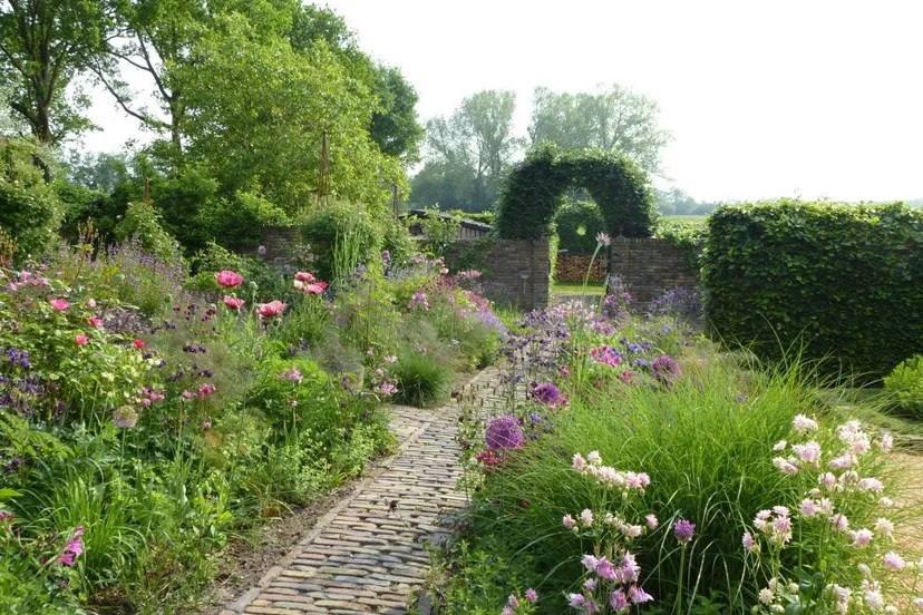 tuinen groei en bloei foto geke rook