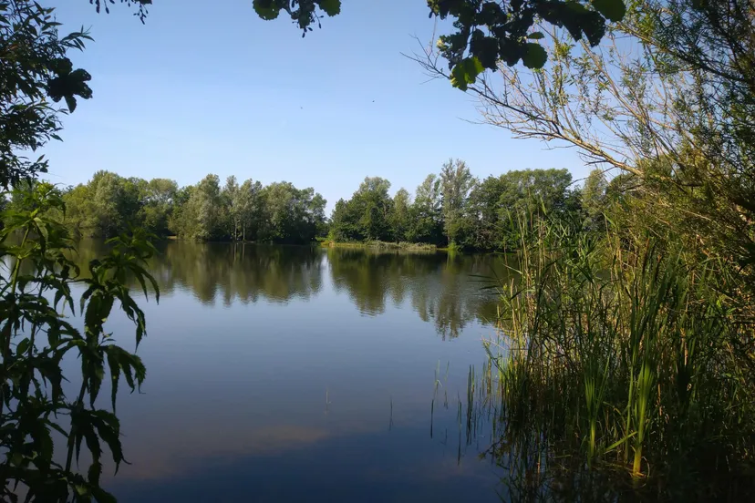 wdod bijkersplas scaled