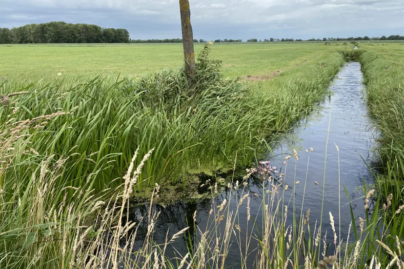 wdod herinrichting polders nijeveen kolderveen