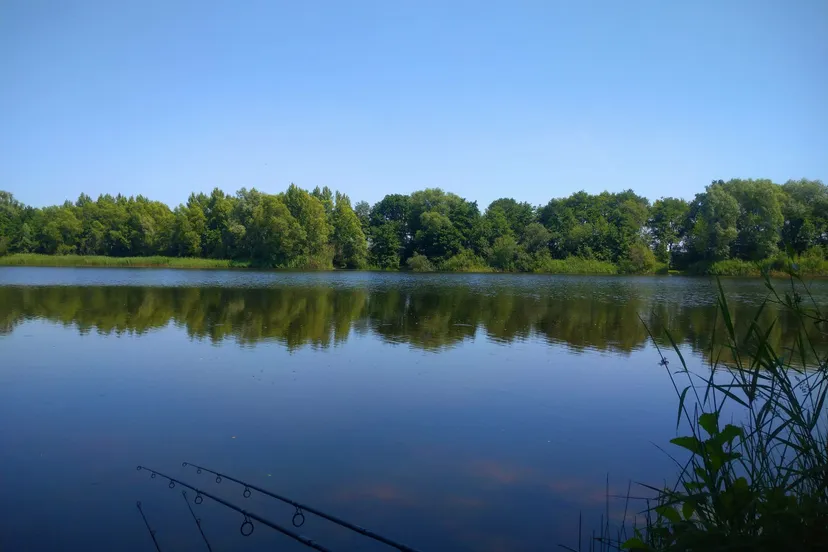 wdod loodvrij vissen scaled 1