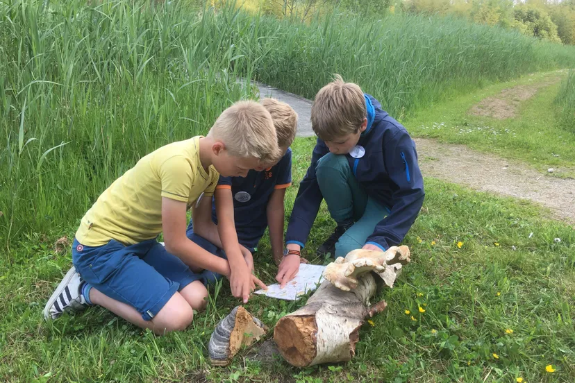 wieden foto jeugdnatuurclub