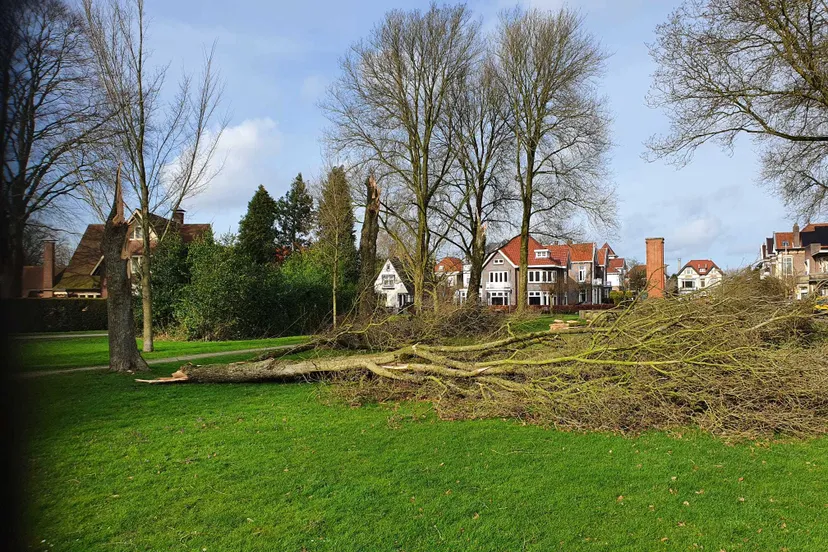 wilhelminapark afgesloten
