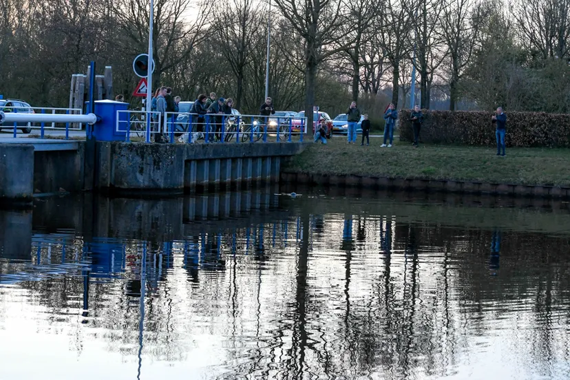 zeehond1 larissa lok