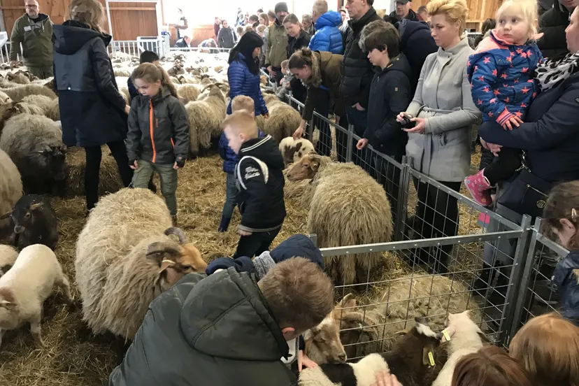 apr pn02042018 lammetjesdag ruinen2