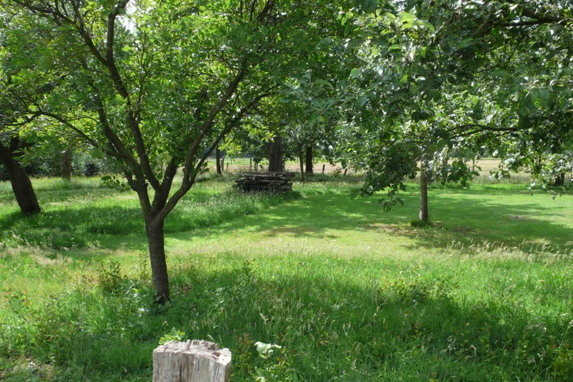 drenthe natuurerf scaled