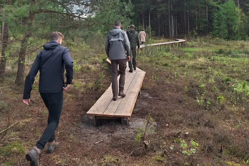 drfrwld wildernis wandelroute