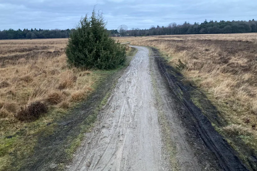 dwingelderveld fietspad1
