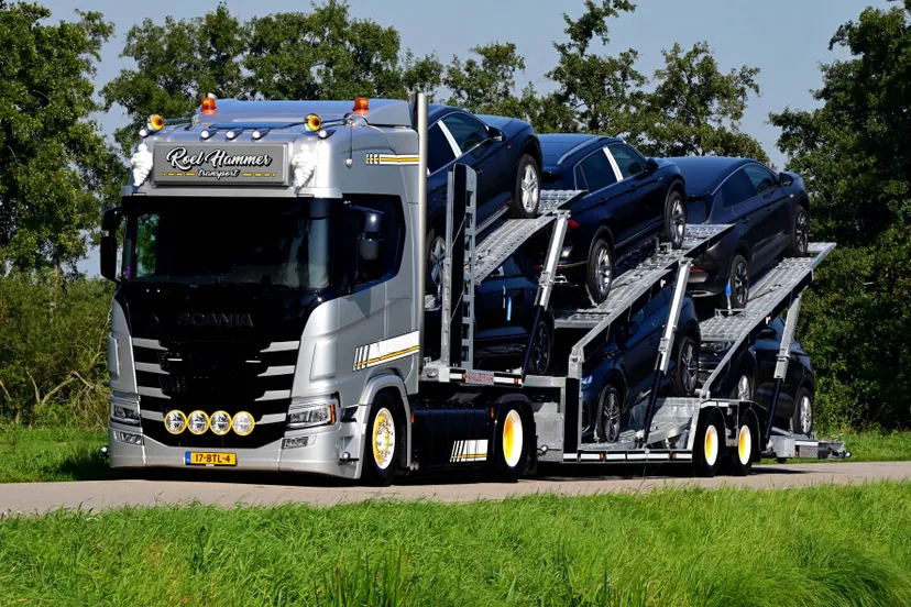 mep cat 7 roel hammer rechts