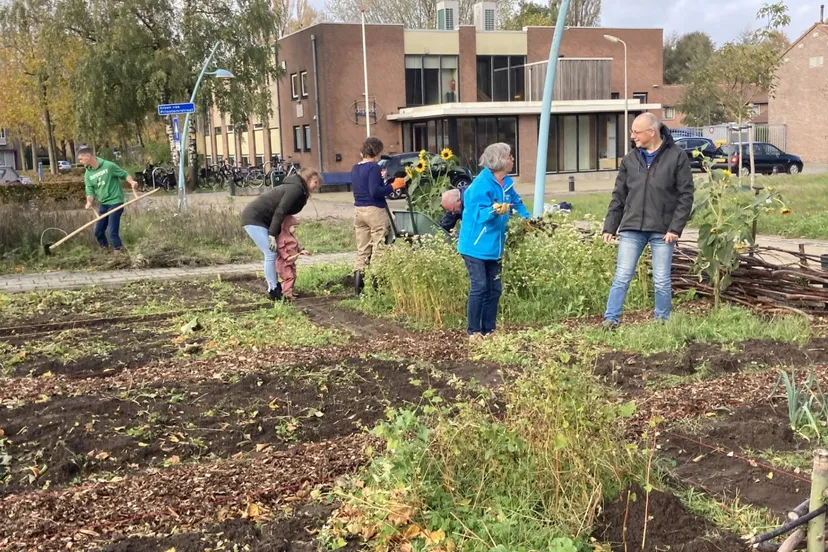 meppel kern pit groentetuin haveltermade
