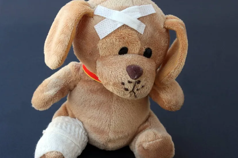 pixaba teddyvbeer gewond