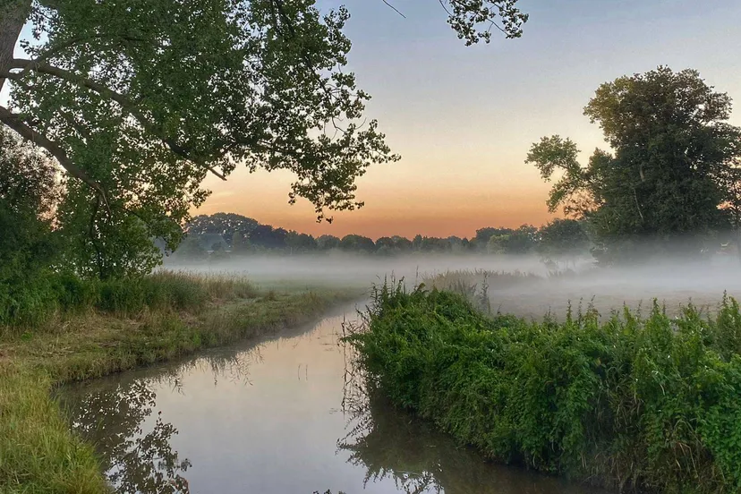 reestdal chantal wachtmeester
