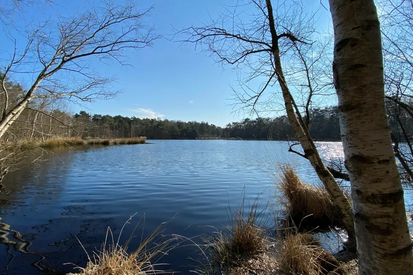 reestdal2 exursie scaled