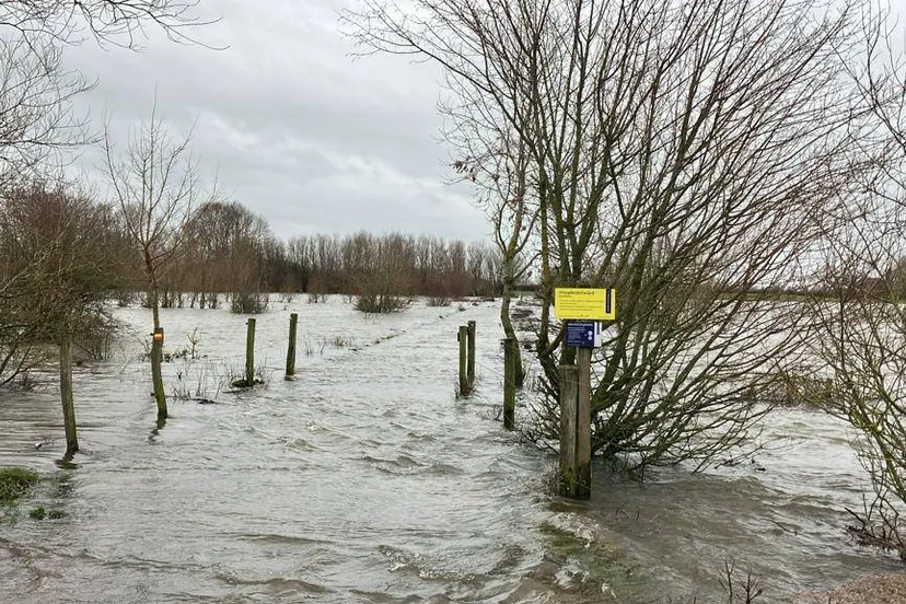 wdod hoog water vreugderijkerwaard zwolle