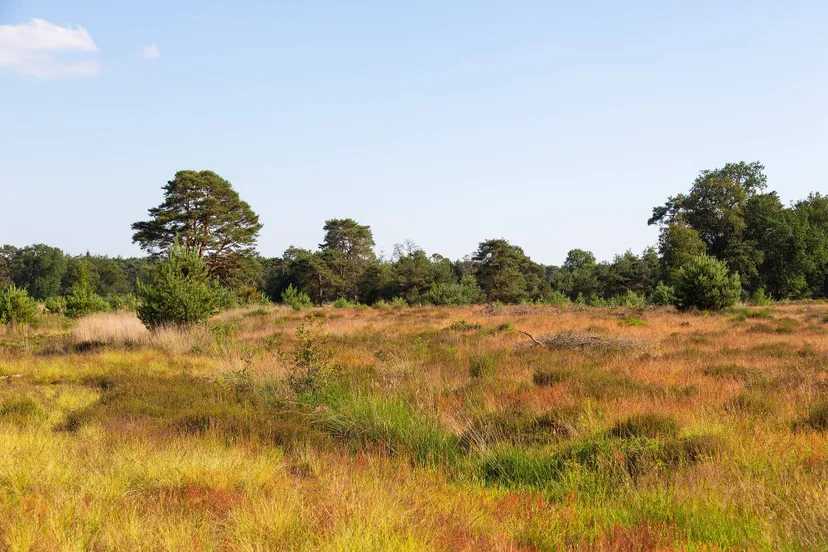 diever hoekenbrink 26062024 lauracsonka r3a9899