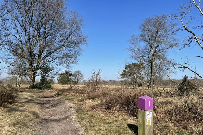 pn takkenhoogte zuidwolde