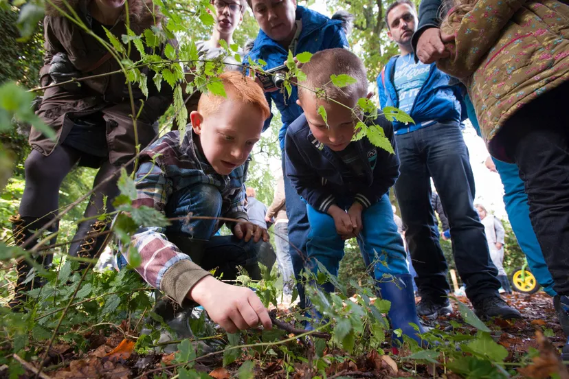 reestdal struinen cees elzenga