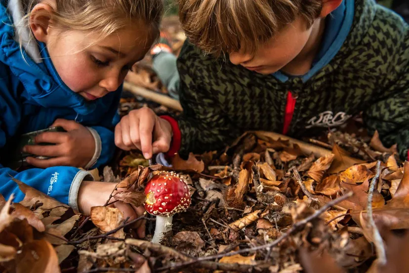 ruinen dwi natuurmonumenten gerke van de hoef 5355x3575 namo99139