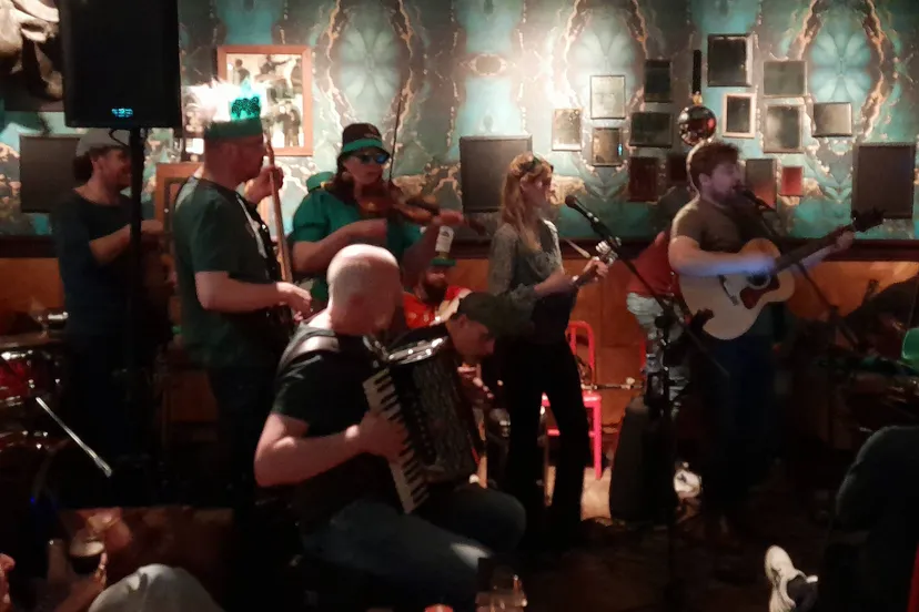 meppel seamus and the horses foto licentievrij wjh