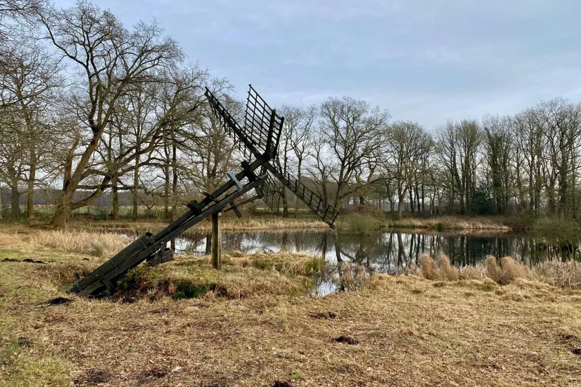dr 2025 02 tjasker zeijen bollenveen anja verbers