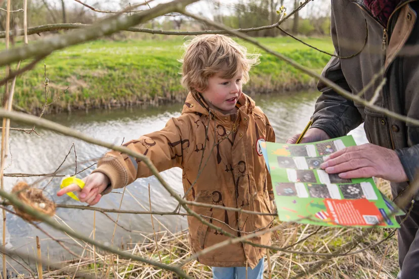 ruinen bezceieren zoeken 1 rene koster