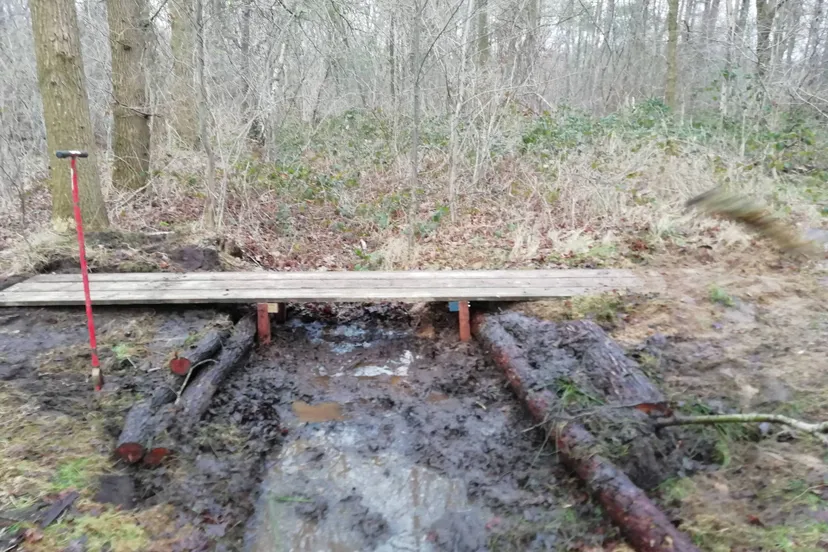 havelte holtingerpoort3