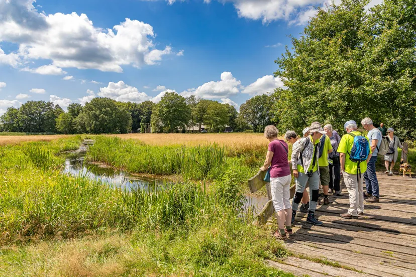 reestdal excursie vlinders en insecten gonny sleurink