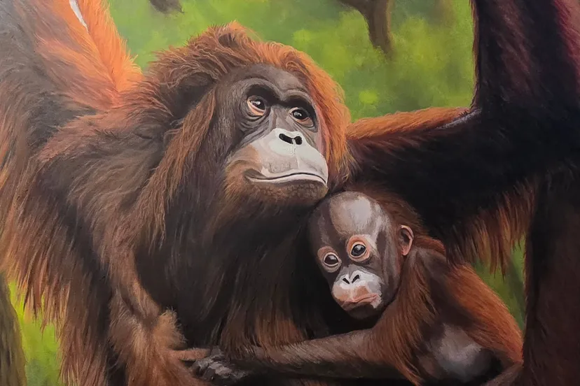 Diever kunst Anny Ligthart - Hou je vast