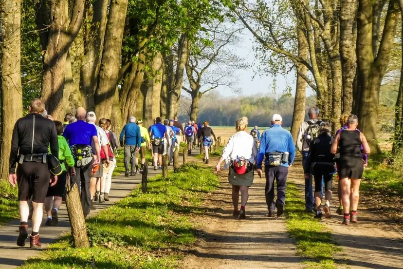 dwingeloo-krentenbloesemtocht-wandelvereniging-dos-foto-francis-pol