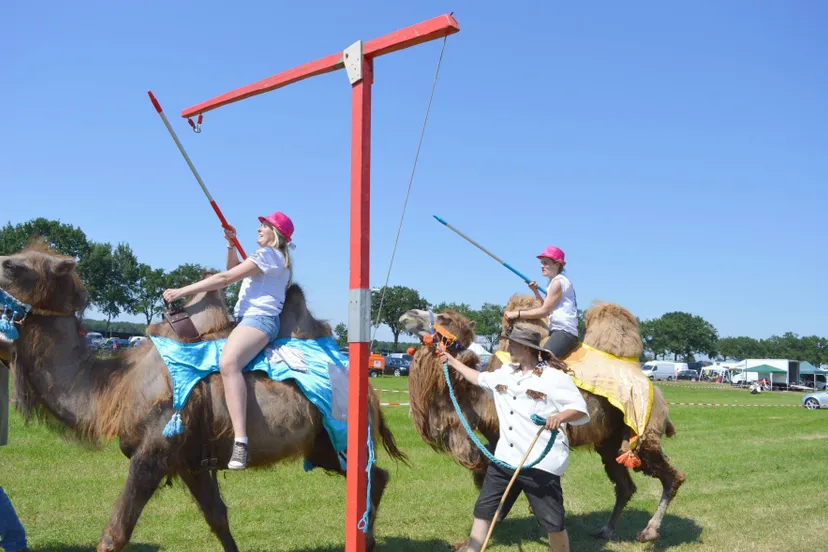 pn05062016 CrisisCross3