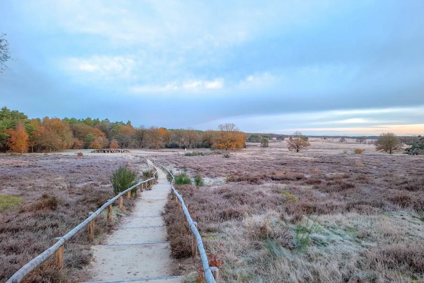Havelte Herstelde trap Holtingerveld - C Staatsbosbeheer - Betsy Koning