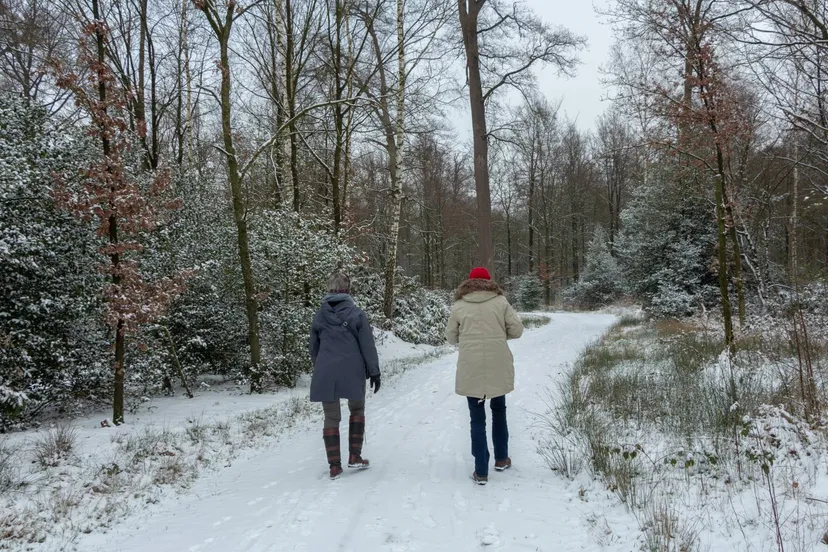 Reestdal 104436-LO07338-Gonny Sleurink