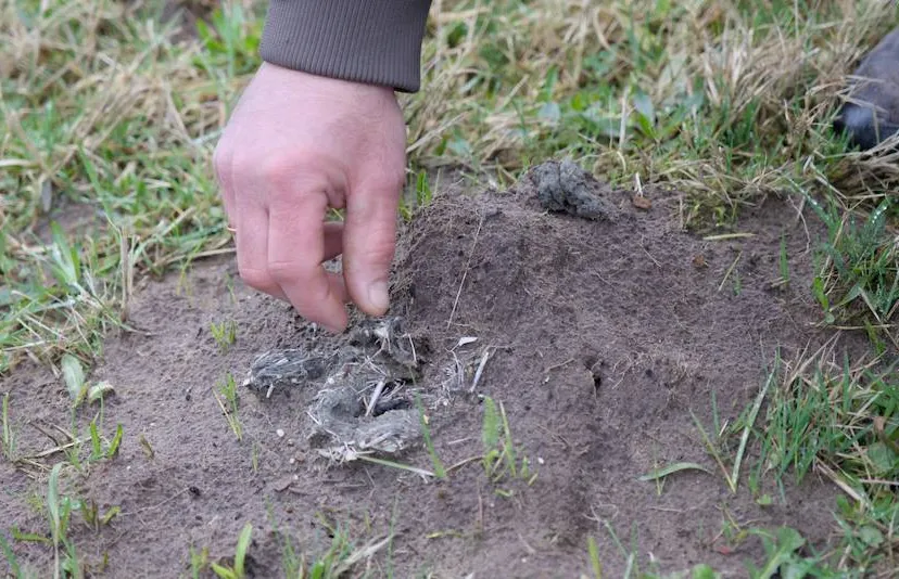 Reestdal Sporen in het landschap, Henk van Latesteijn