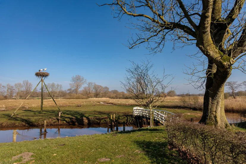 Reestdal Gonny Sleurink - Reestdal (2)