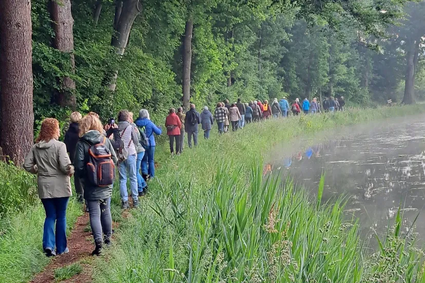Echten Dauwtrappen