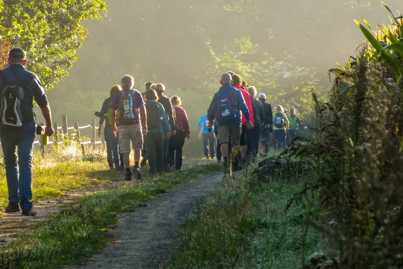 Zuidlaren Gunzeloop wandeltocht