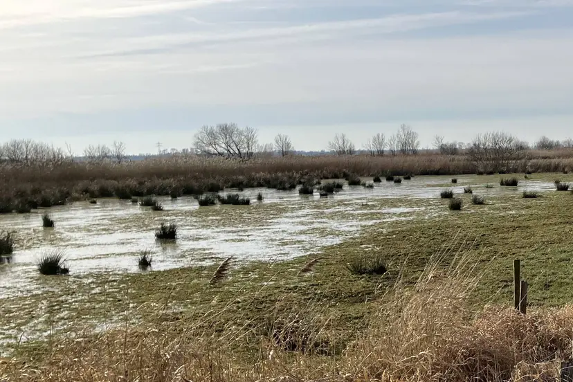 WDOD Herinrichting uiterwaarden Meppelerdiep (5) gesneden (1)